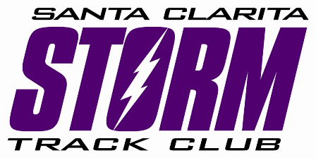 Storm Logo